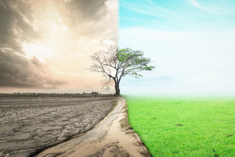 Stubborn Optimism on Today's Factoid Friday